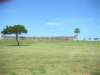 dscn0445small_small.jpg