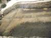 dscn0492small_small.jpg