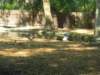 dscn0544small_small.jpg