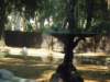 dscn0546small_small.jpg