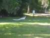 dscn0549small_small.jpg