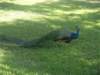dscn0555small_small.jpg