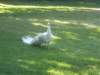 dscn0571small_small.jpg