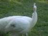 dscn0574small_small.jpg