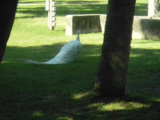 dscn0577small.jpg