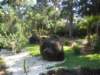 dscn0585small_small.jpg